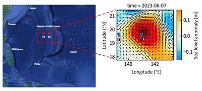 Distinct water mass between inside and outside eddy drive changes in prokaryotic growth and mortality in the tropical Pacific Ocean